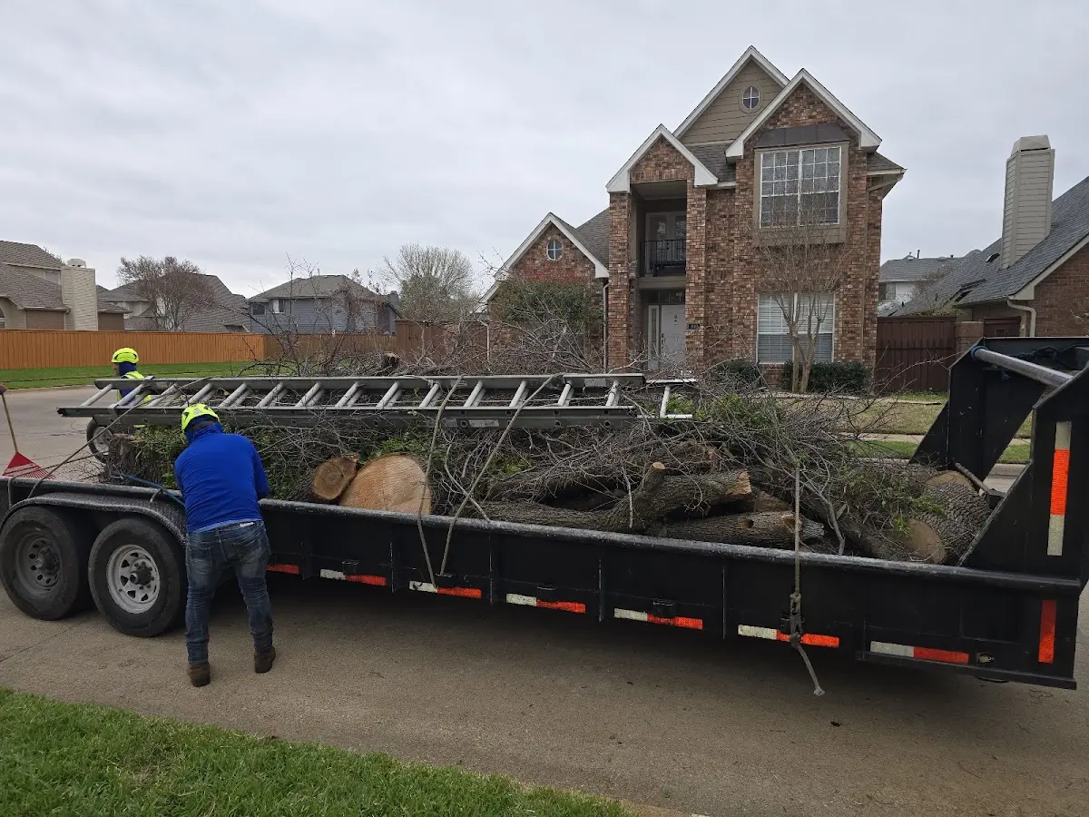 Expert Tree Fertilization with proper safety equipment in Vienna